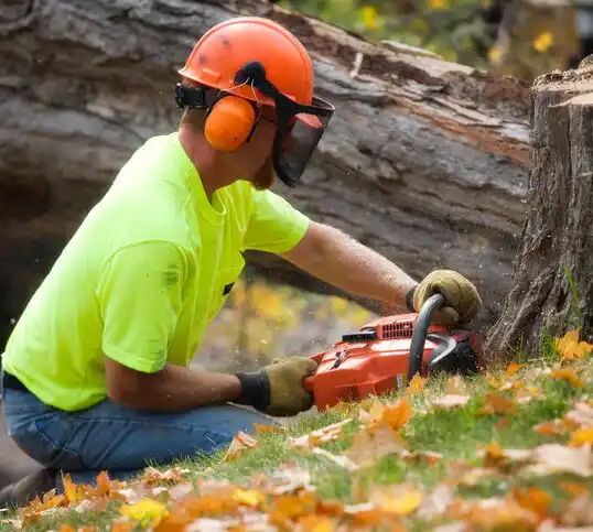 tree services Vine Grove